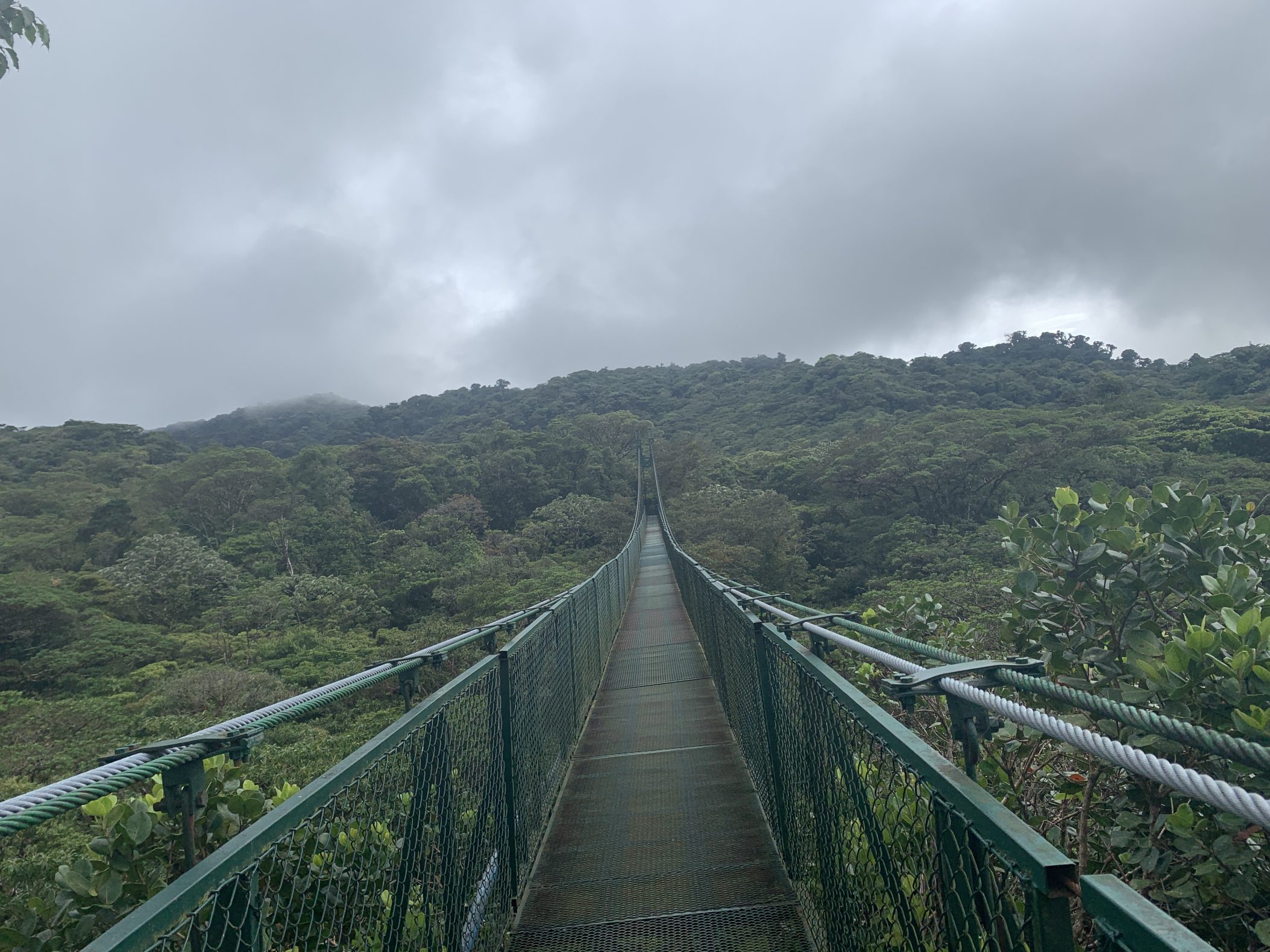 A long hanging bridge on the cloud forest walk in Monteverde