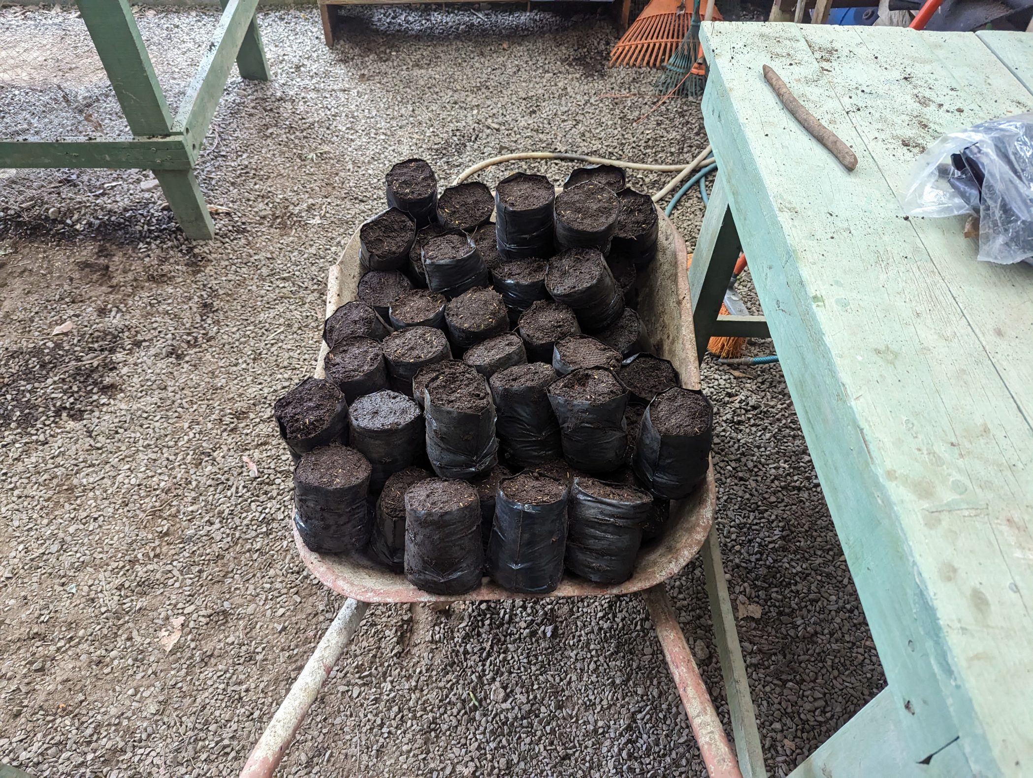 A wheelbarrow full of the tree pots we made at Monteverde Institute