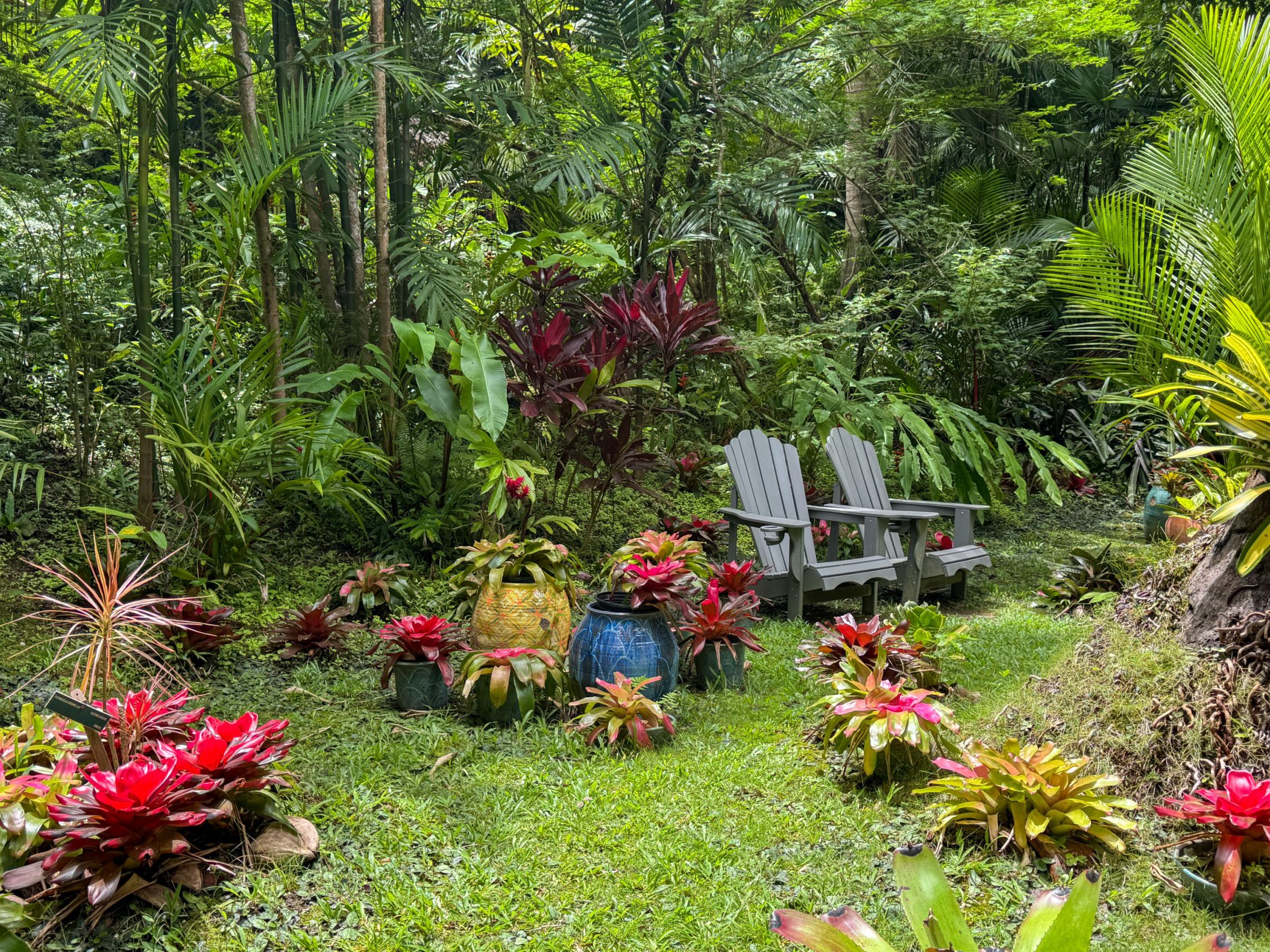 A garden with chairs and colorful red and yellow plants, with lush tropical vegetation behind it
