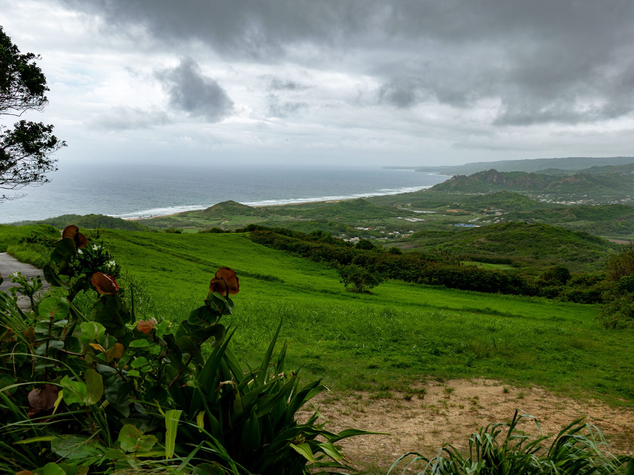 Sweeping view of green grass hills and the blue ocean in the distance