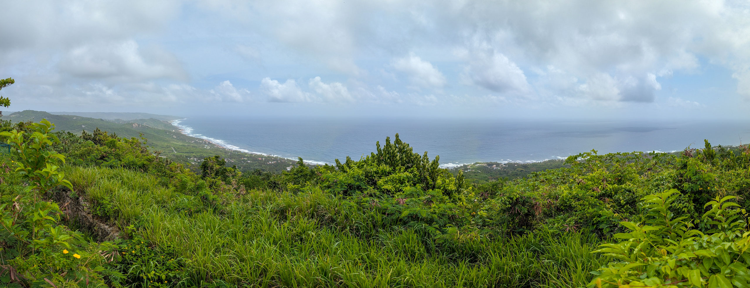 Sweeping panoramic view of green trees and plains with the blue Atlantic Ocean in the distance
