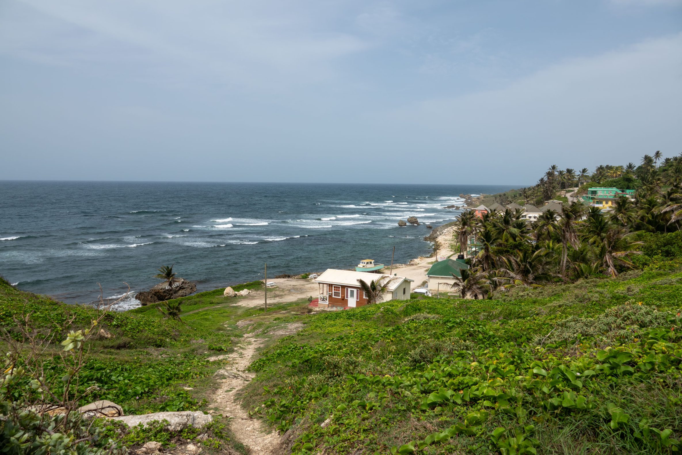 Green field with a dirt path going through to the beach and ocean with waves
